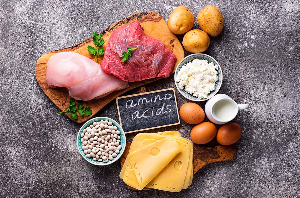 アミノ酸を多く含む食べ物とは?役割やおすすめのレシピを紹介