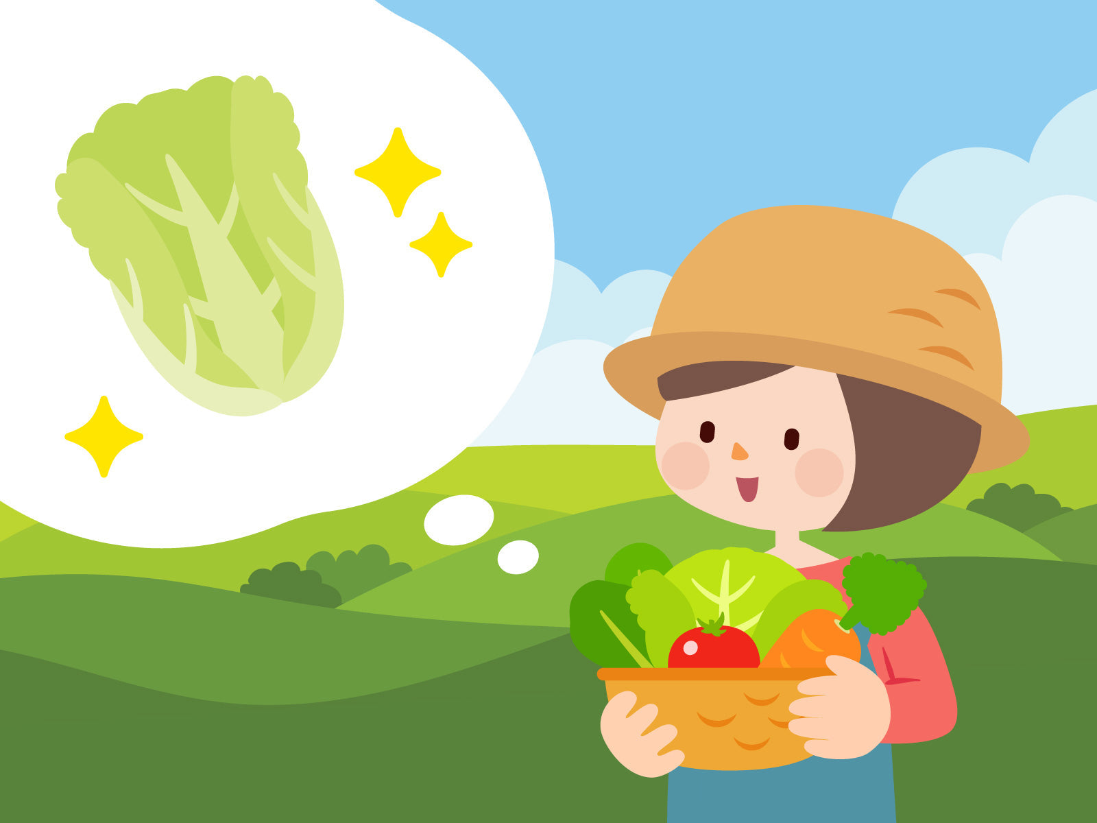 白菜に含まれる食物繊維量は? 体にうれしい調理法、その他の栄養素についても解説!