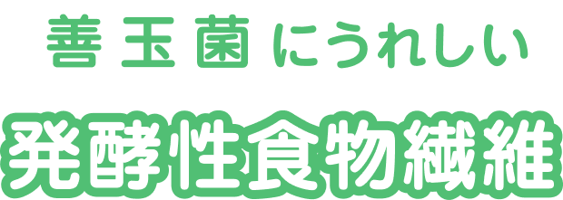 善玉菌にうれしい発酵性食物繊維