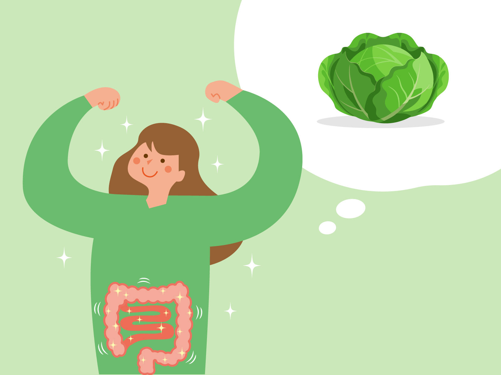 キャベツには、食物繊維が豊富？便秘をやわらげる効果やおすすめのレシピをご紹介！