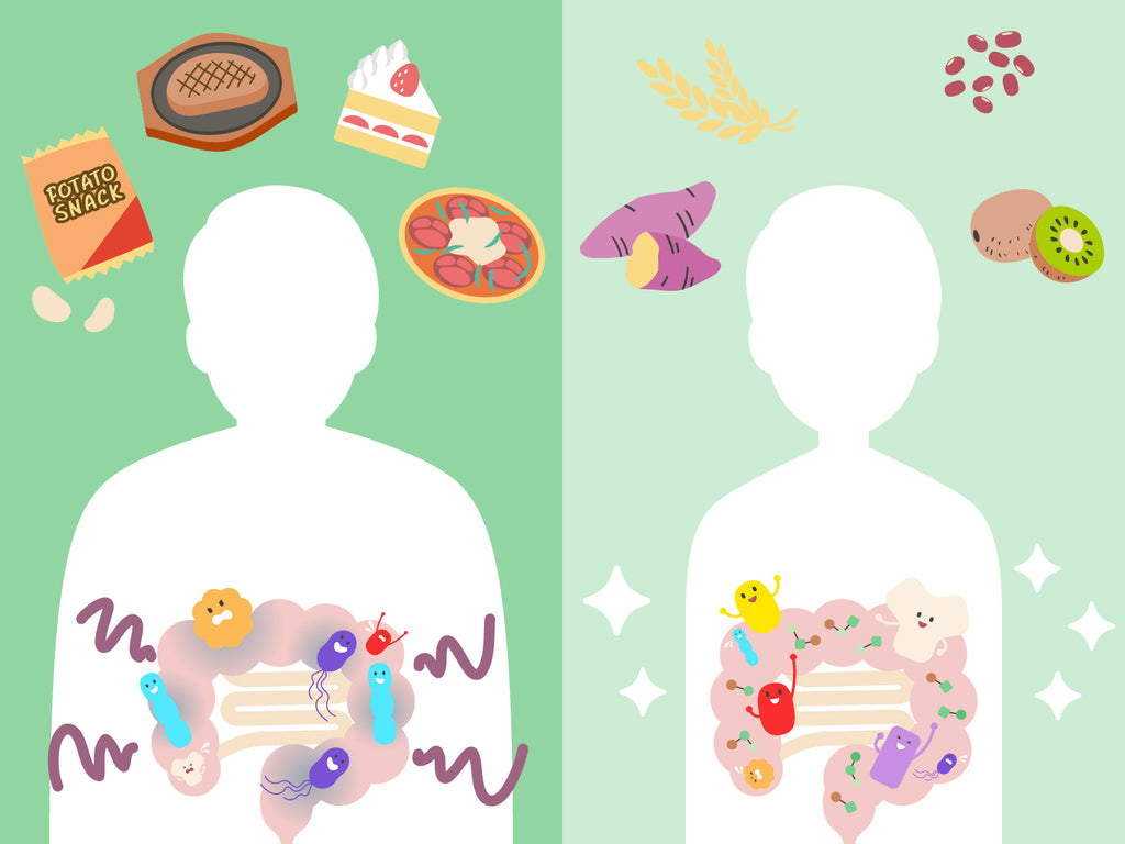 肥満と腸内細菌の関係について