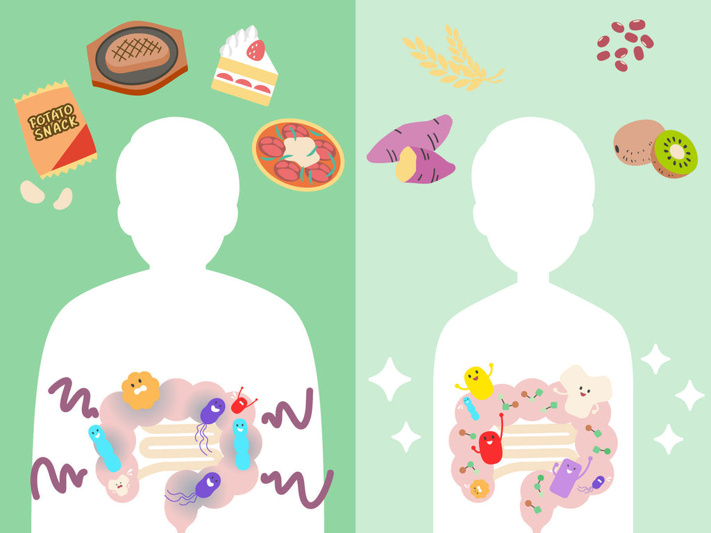 腸内細菌と体重維持の関係［発酵性食物繊維が鍵！］