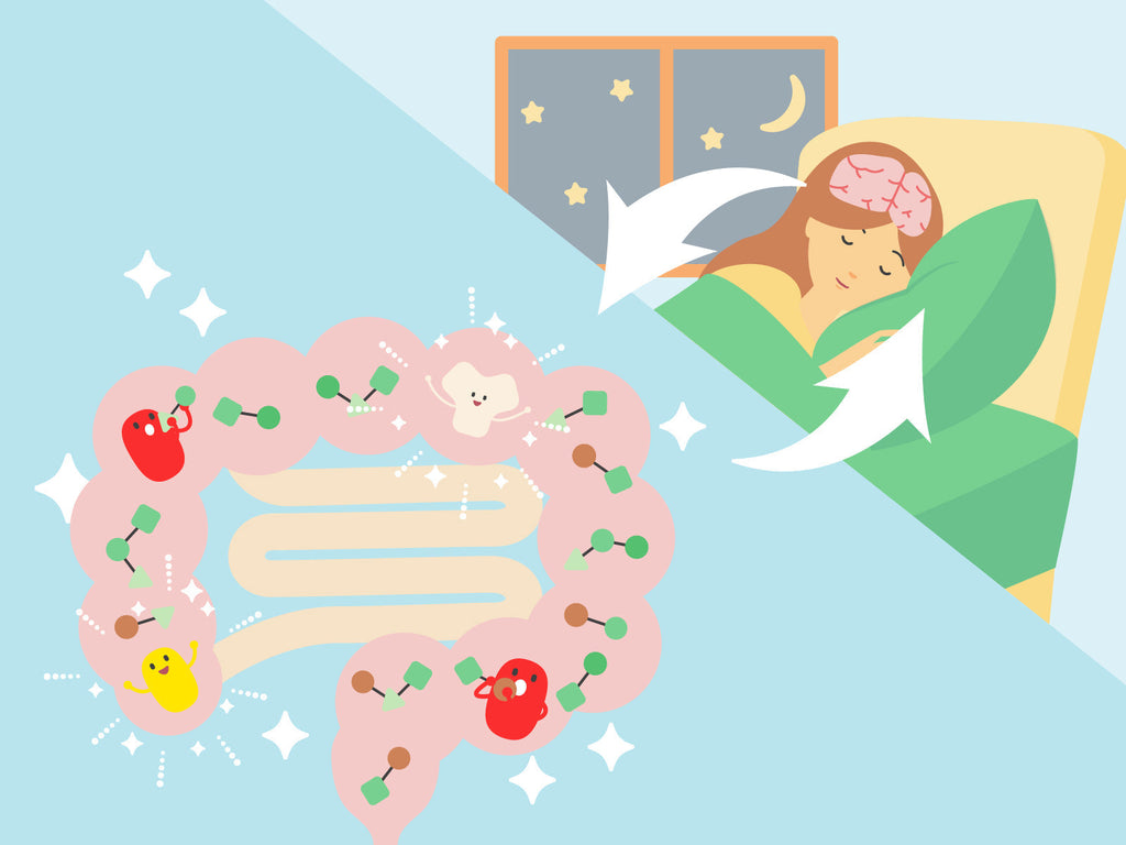 腸内細菌が睡眠に与えるメカニズム［発酵性食物繊維が鍵！］