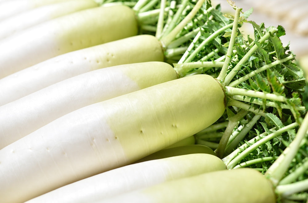 根も葉も栄養たっぷり！ 万能野菜「大根」を徹底解剖