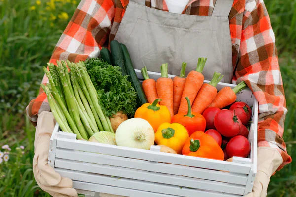 エイジングケアで年齢にあったおいしい体調管理！エイジングケアに欠かせない栄養素やおすすめ商品をご紹介