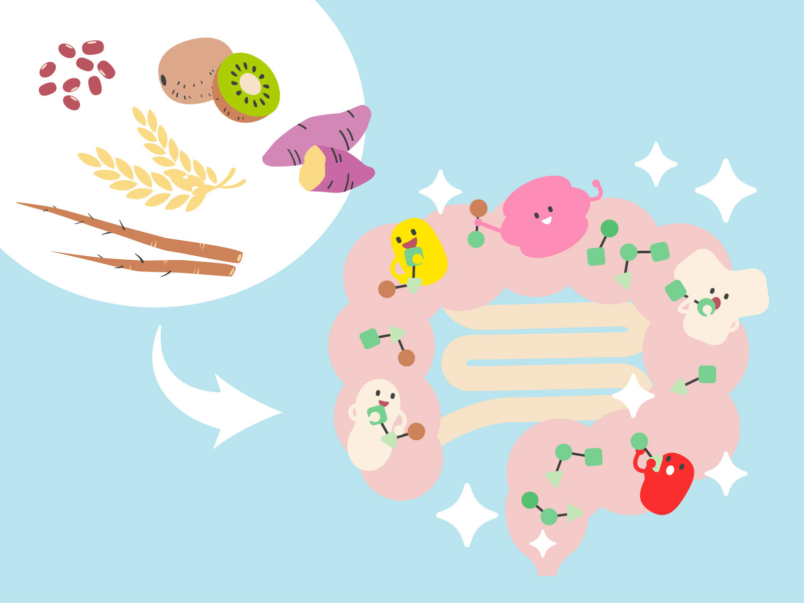 不溶性食物繊維が多い食品は？ 水溶性食物繊維とのバランスにも気をつけて！