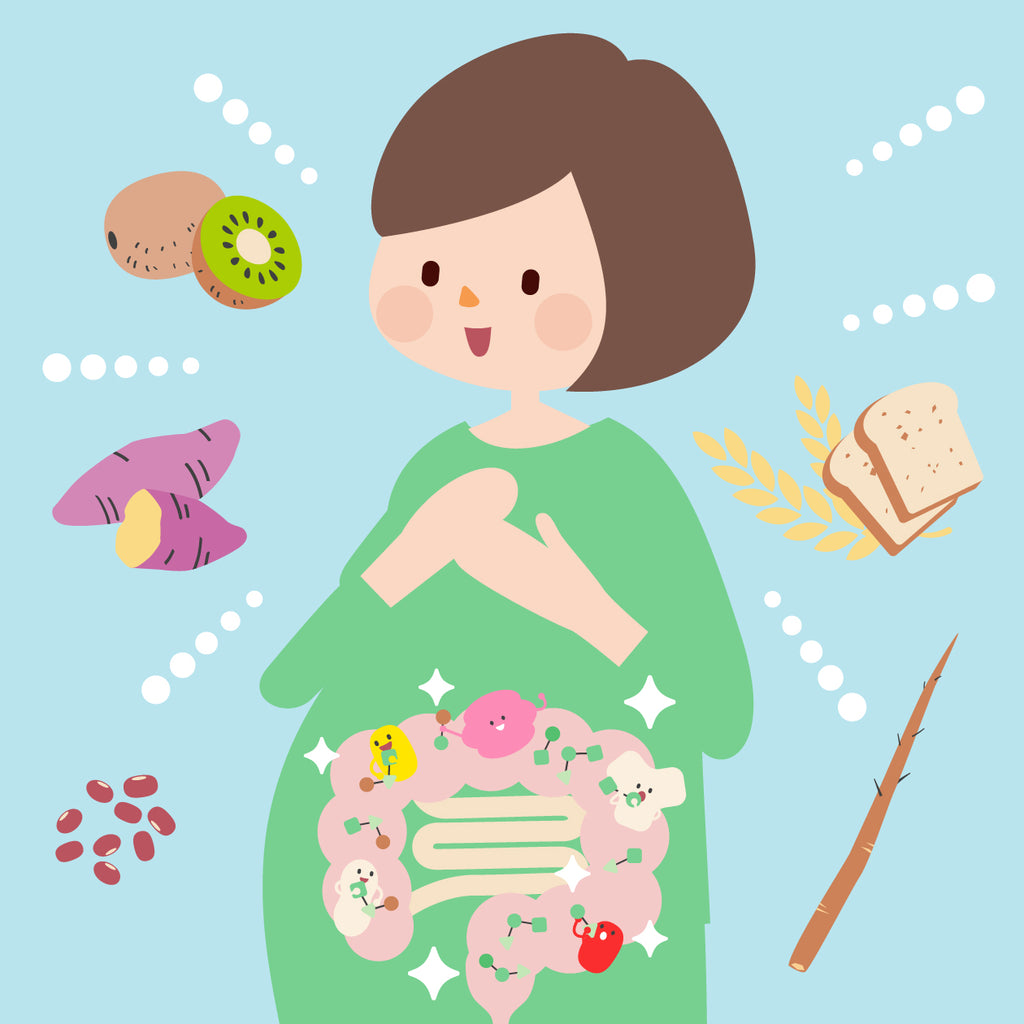 妊娠中の発酵性食物繊維摂取と子どもの神経発達の関係性