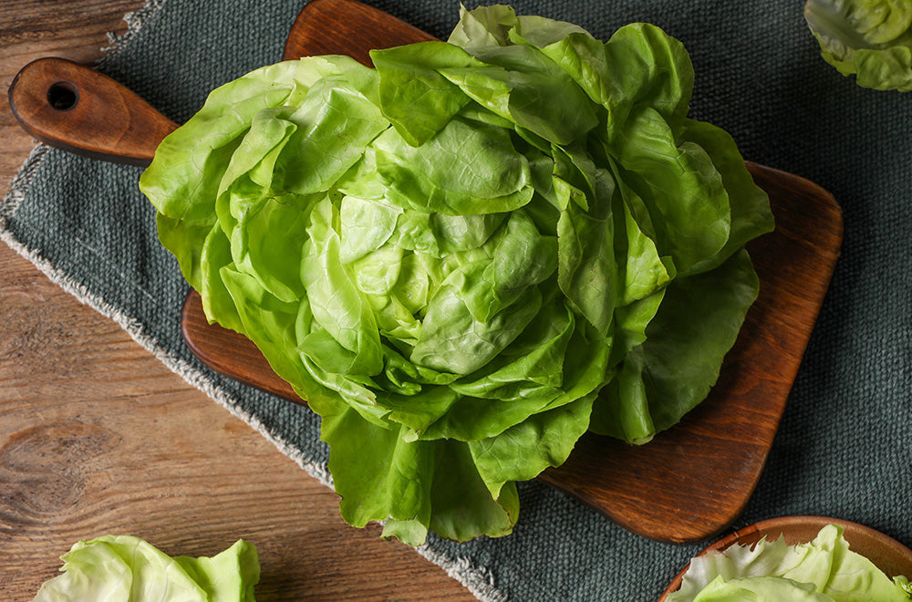 身近な野菜「レタス」の食物繊維と栄養素――おすすめレシピも紹介！