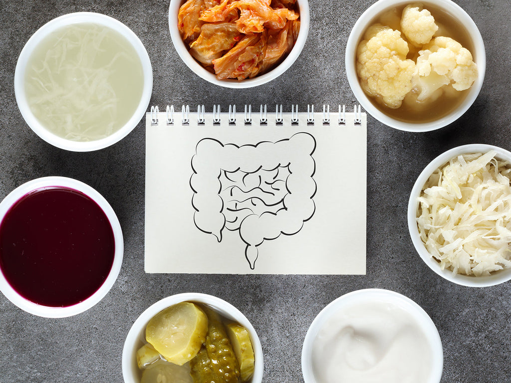 腸内環境を整えるプロバイオティクス ――基礎的な知識とおすすめの食べものを紹介